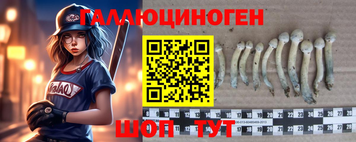 Галлюциногенные грибы прущие грибы  магазин    Новосибирск  Галлюциногенные грибы MAGIC MUSHROOMS  Вход с VPN 